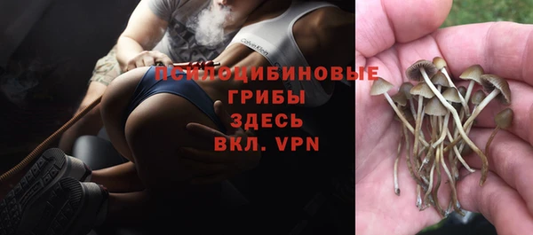 мяу мяу мука Алексеевка