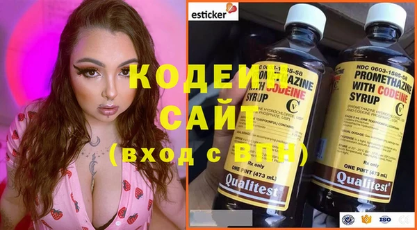 эйфоретик Алзамай