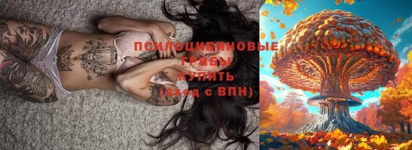 эйфоретик Алзамай