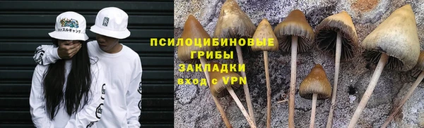 мяу мяу мука Алексеевка