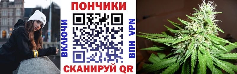 МАРИХУАНА сатива  наркотики  Киселёвск 
